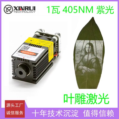 1w405nm叶雕紫光激光模组激光雕刻机配件