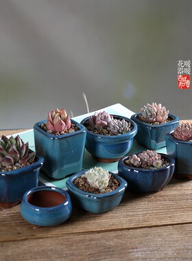 暖暖精选宜兴紫砂均釉系列01蓝色微型多肉花盆绿植盆栽室内桌面