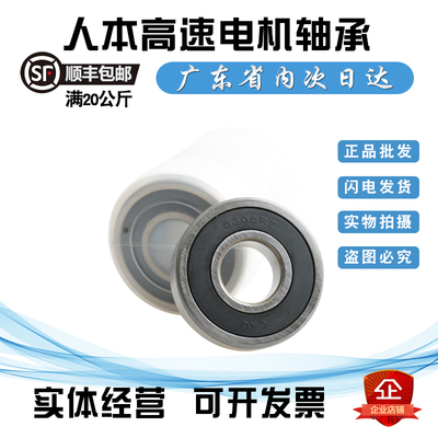 人本高速电机轴承6300 6301 6302 6303 6304 6305 6306 6307RZ