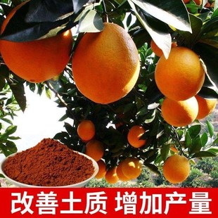 发酵用红糖农业专用种植红糖粉植物酵素酵母粉农用种菜果树蔬菜肥