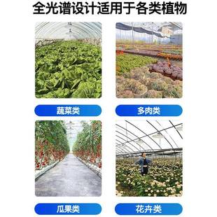 大棚YKK植物灯专用室补光灯内家用蔬菜绿月季 兰花卉生植长仿太阳