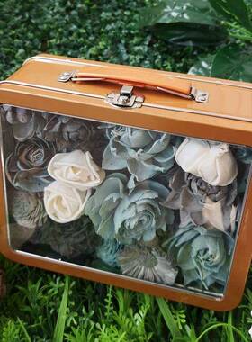 现货|5可0朵混合套装通草花G820C99N家花装居软装饰干花插艺铁丝