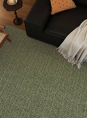 复古绿色感地亚毯客厅2025新款免麻洗可擦轻F5M8H95J奢剑麻中古风