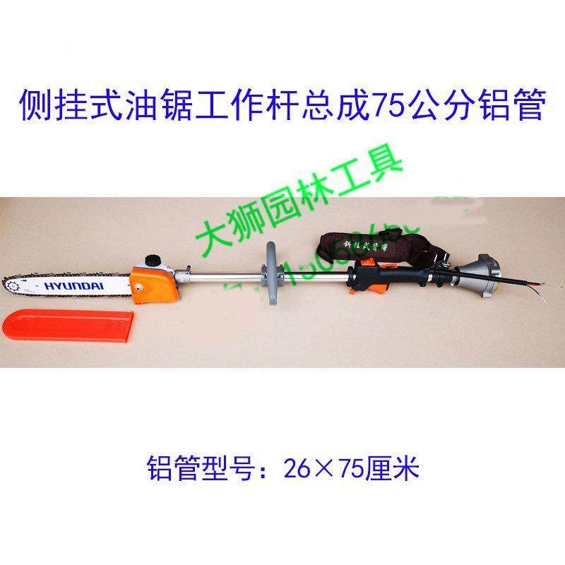 EGH锯割草机改油背负式油锯侧挂式油锯短杆高枝多锯能油锯杆锯功,鲜花速递/花卉仿真/绿植园艺,铲子,淘宝优惠券,粉丝福利购,淘宝优惠卷