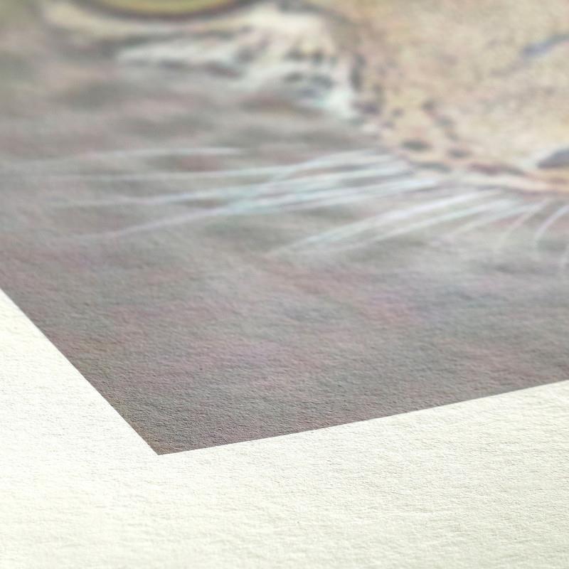 4Hanemuehle哈内姆2勒290h克竹纤维艺术喷墨纸Bamb290克oo290gA/A