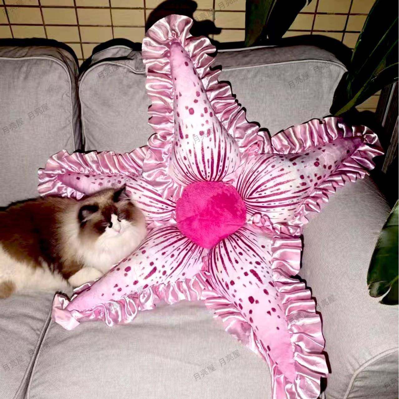 HY-K028海星花朵抱枕客房间饰靠垫榻米垫办公室午睡枕榻厅装创意,居家布艺,抱枕被,淘宝优惠券,粉丝福利购,淘宝优惠卷