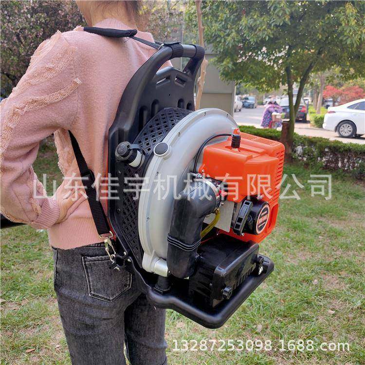 背负雪WNP汽吹风机农田大棚吹式机油路面清扫机,农机/农具/农膜,林业机械,淘宝优惠券,粉丝福利购,淘宝优惠卷