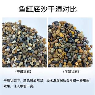 溪流石原生鹅卵石鱼缸铺底砂水箱石饰过滤造景小823流子豆石沙装