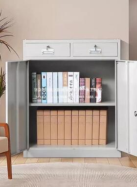 衣办公室对UUJ开柜钢制文件柜带锁凭证柜财务资料档案矮柜多门更