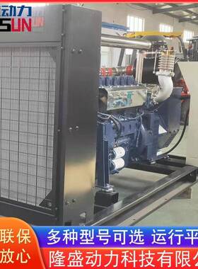 工厂用静音式YVB发电机15k0w里卡多沼气发机电机组沼气发电设备