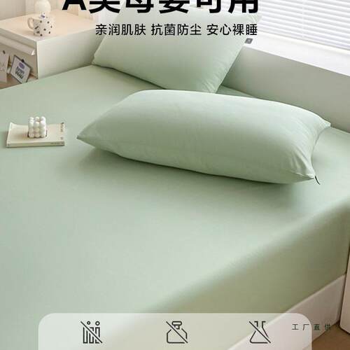 床件床笠罩单件100棉质罩防尘2025新款棉床质垫保护罩F5M797JS床