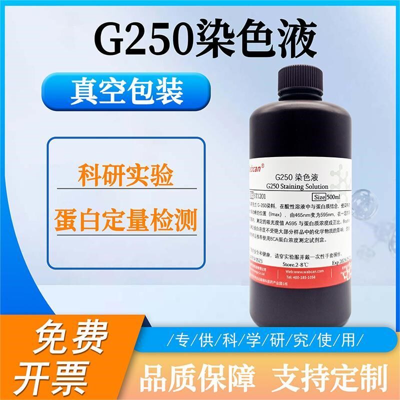 G250染色液考马斯亮蓝快速染色液脱色BSA牛血清白蛋白V蛋白质检测