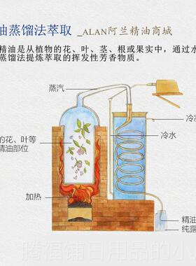 正品小茴香体精油10m0抗净化肌肤镇l痛身按摩香薰单方精油