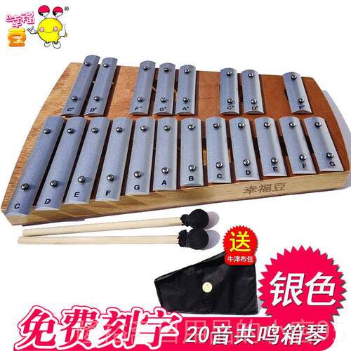 高档学校1音5音琴学生铝板音乐教具25木琴铁琴金属琴儿琴童打击小