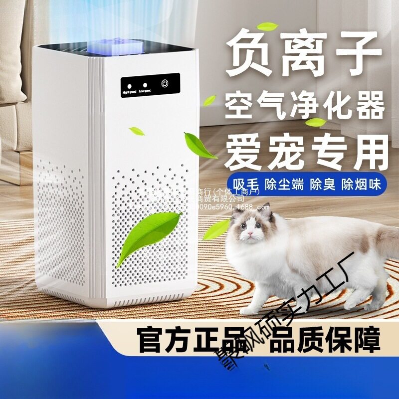 家用负离子除醛除味净化器