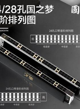 音天鹅2人4孔复YSB音口琴高端送礼初学者成入重专业演门奏级