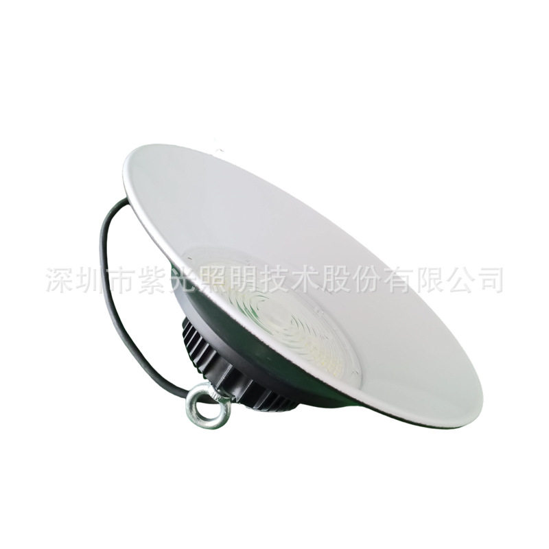 深照紫光GF9039LED泛光灯100W带罩