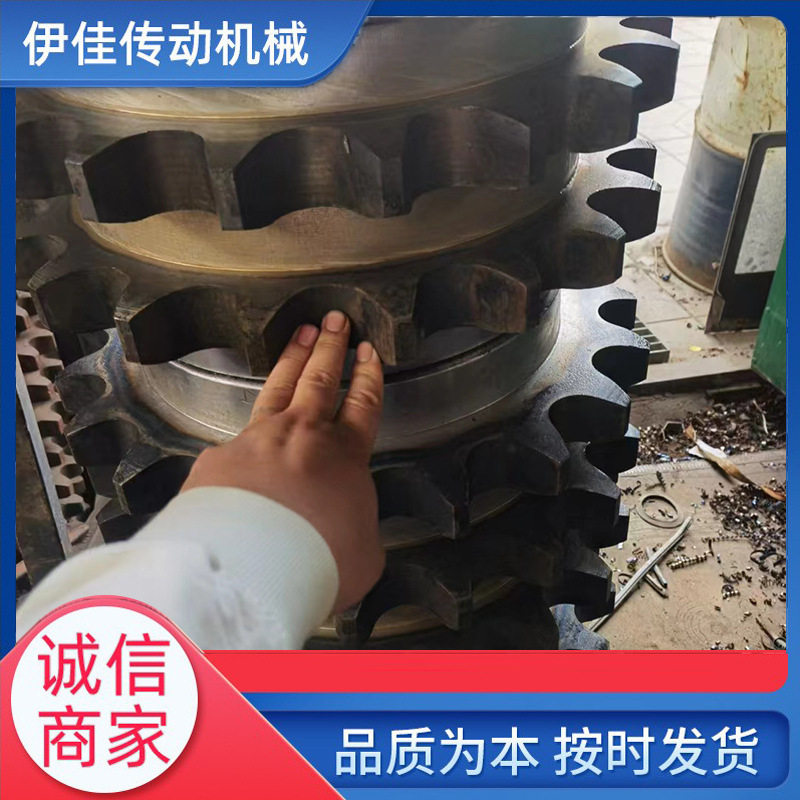 非标钢单/双排齿轮链轮总成