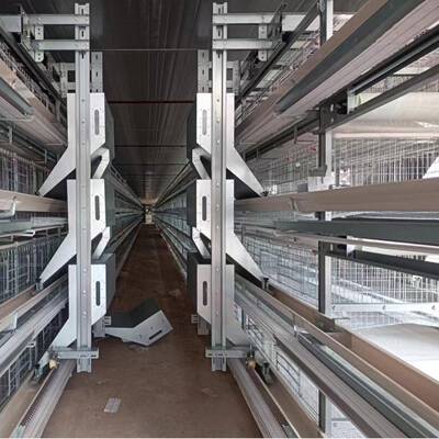 不锈鸡笼全自动清粪蛋钢养鸡笼TGD小层叠三层/四捡层养设备蛋殖鸡
