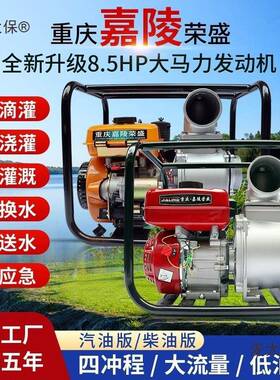 高扬汽油柴泵油机423寸程水泵抽水机农用自吸灌溉小型FLW污水麦太