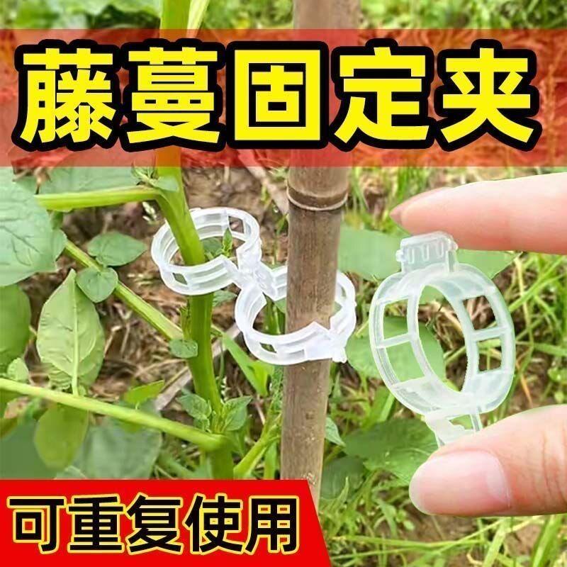h扶蔓固定夹固定卡扣绿植夹藤蔓植物蔓藤固定器爬藤定型夹子