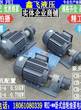 BZ-25WBZ-4WBZ-6W35BZ-10卧式齿轮油W泵电.机组YE2801-40.55KW
