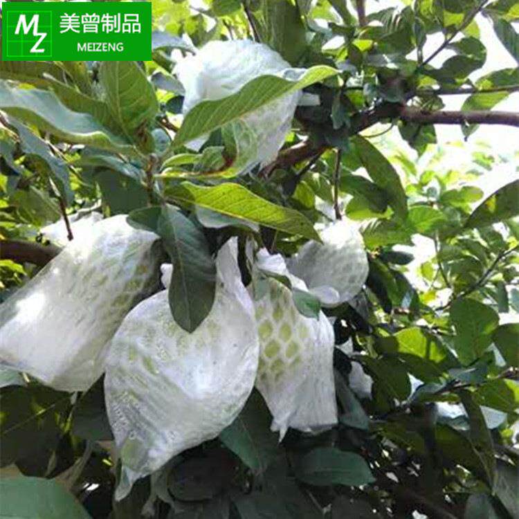 水蜜桃水网种套一体虫套袋网有耳型防防鸟植泡沫芭KJB乐番石果榴