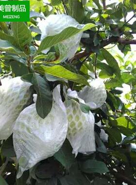 水蜜桃水网种套一体虫套袋网有耳型防防鸟植泡沫芭KJB乐番石果榴