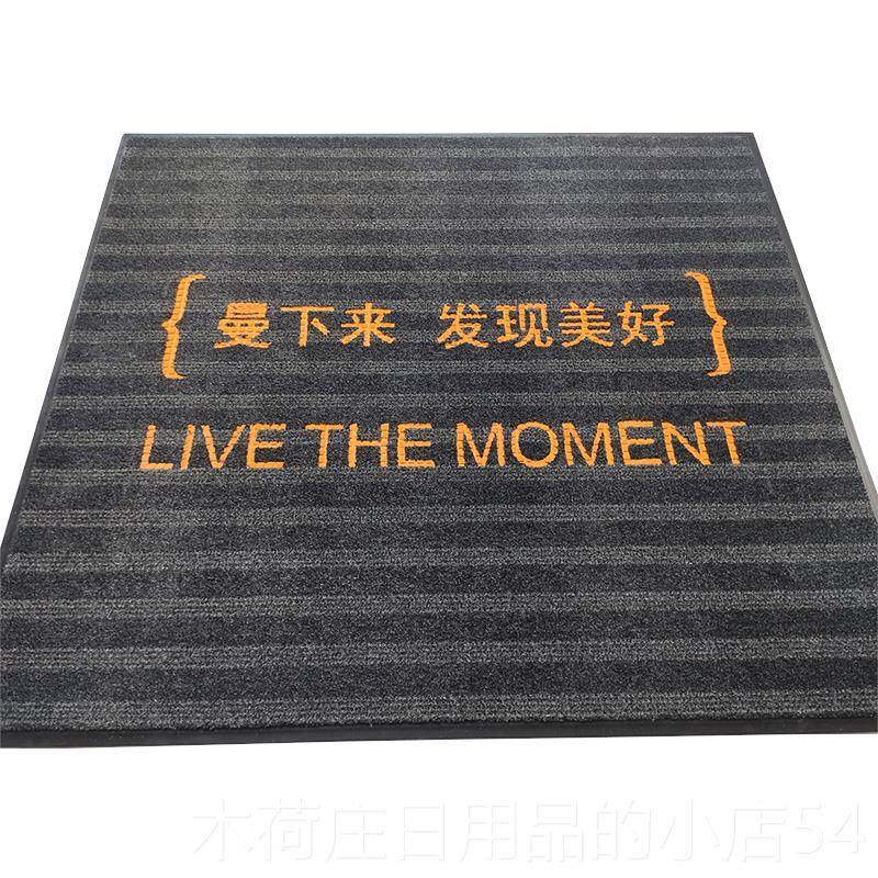 正品水公司进门户门地垫家用门口入吸尘地毯门垫商用除尘脚垫防定
