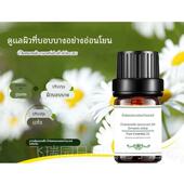 香薰抗痘天然小瓶保湿 正品 方摩洛哥洋按甘菊精油5ml 单摩感面