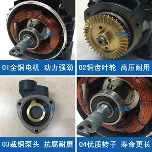 离心水泵IDB3心55070三中相380V220V小型增压泵330W清-IPZ水泵