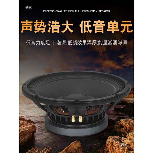 专业2寸T全频音箱家用1唱歌演唱K歌工V12程HIFI演出室V内K音响