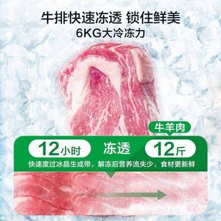 容声小100升冰柜家其用商用卧式型冷柜BD/BC-10柜能效变温他