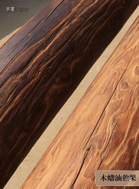 老榆木原木防柱宿子风化腐断木VGG实木圆柱民隔屏风立柱老旧木麦