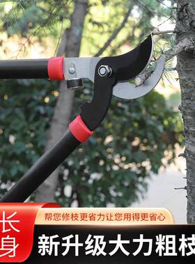 果柄修枝剪树枝长剪刀园林艺大剪树修枝修剪树枝园剪刀RIZ粗枝剪