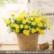 正品 小雏菊假花彷真花束客厅插花摆装 品轻奢设餐饰桌绢花干燥花居