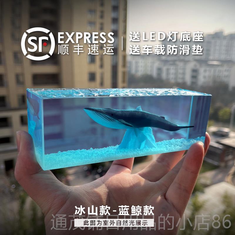 正品A BUE树脂L蓝鲸鱼鲸鲨滴胶工艺汽车摆件汽车饰品L创意生L日礼