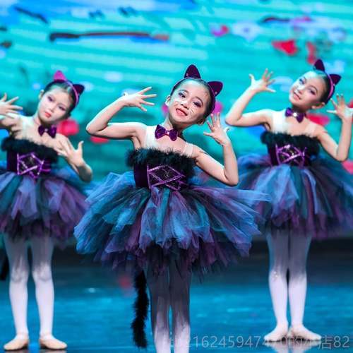 高档款女童小猫咪演出服跳舞的小怪兽舞蹈服爱学猫叫蓬蓬新纱演裙