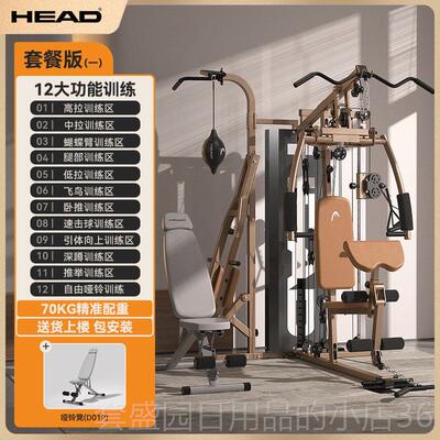 正品HED海德室A内综合力器量器械训练卧推梨球多功能三站人组合健