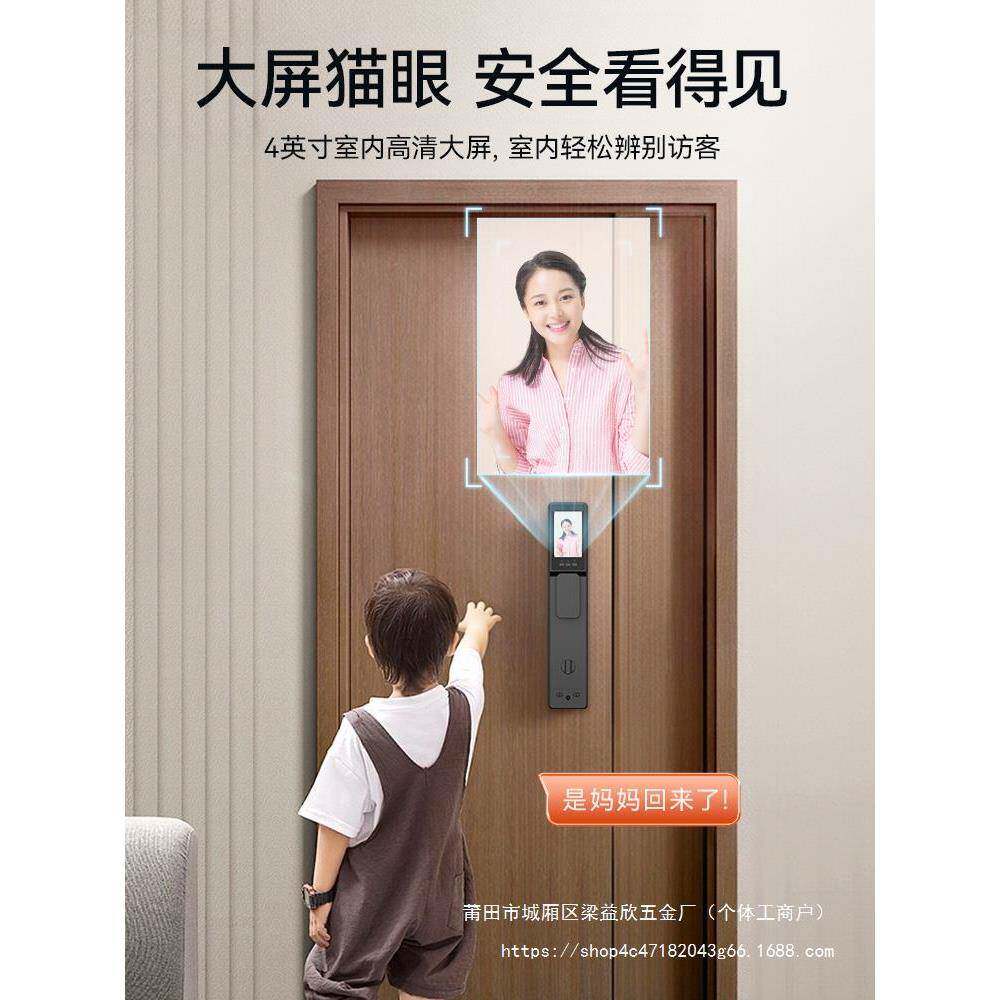 博克智能门锁纹锁密码指家用电锁子入户防盗门v6m人脸识别智锁能