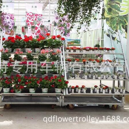 玫瑰展示花架 带脚轮 青岛伊莱特花架展示车 可移动鲜花陈列架