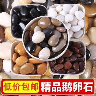 5斤0五色鹅卵石彩557小石头铺路庭院铺阳台鱼缸然原天石雨花石造
