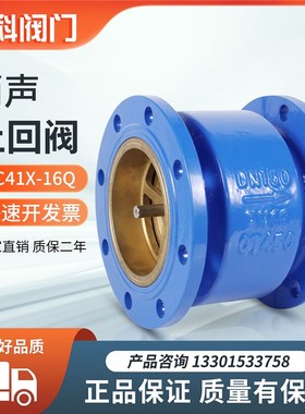 HC1X不锈钢芯法兰消声止回立卧式单向逆止水泵DN51001