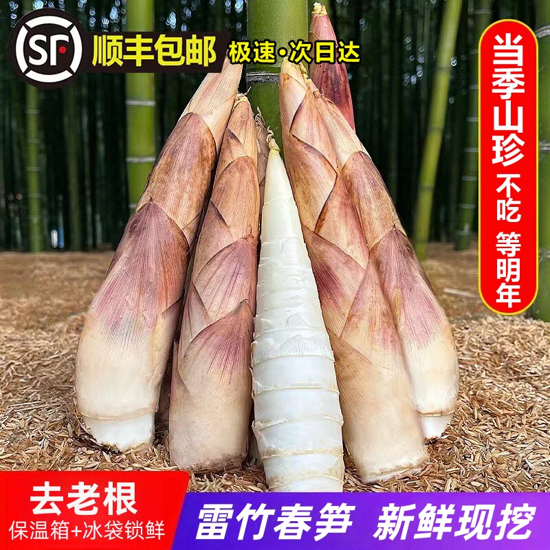 新鲜雷竹春笋【顺丰冷链到家】浙江杭州发货