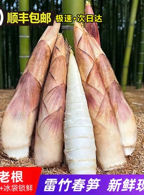 新鲜雷竹春笋【顺丰冷链到家】浙江杭州发货
