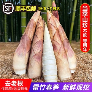 新鲜雷竹春笋【顺丰冷链到家】浙江杭州发货