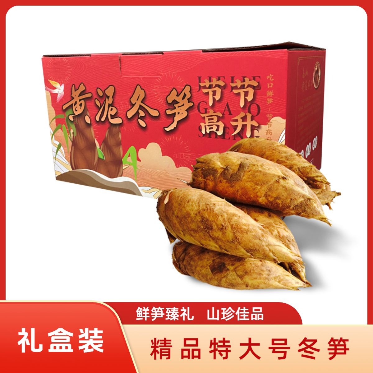 【礼盒装顺丰包邮】精品特大号冬笋5斤 浙江杭州发货