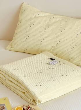 2025新款60支天莫代NSH-CG20尔繁床盖单件四季榻榻米星夹丝棉床单