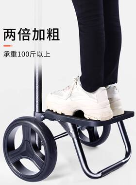 买便菜车小拉车家用F966T6TT折叠轻购布袋老年人物杆拉手推车便携