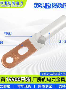双孔鼻无品牌/子DT02-25-0mm铜国标双孔镀锡铜鼻双眼线鼻双孔铜端